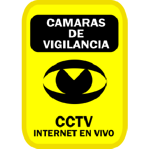 CCTV En Vivo
